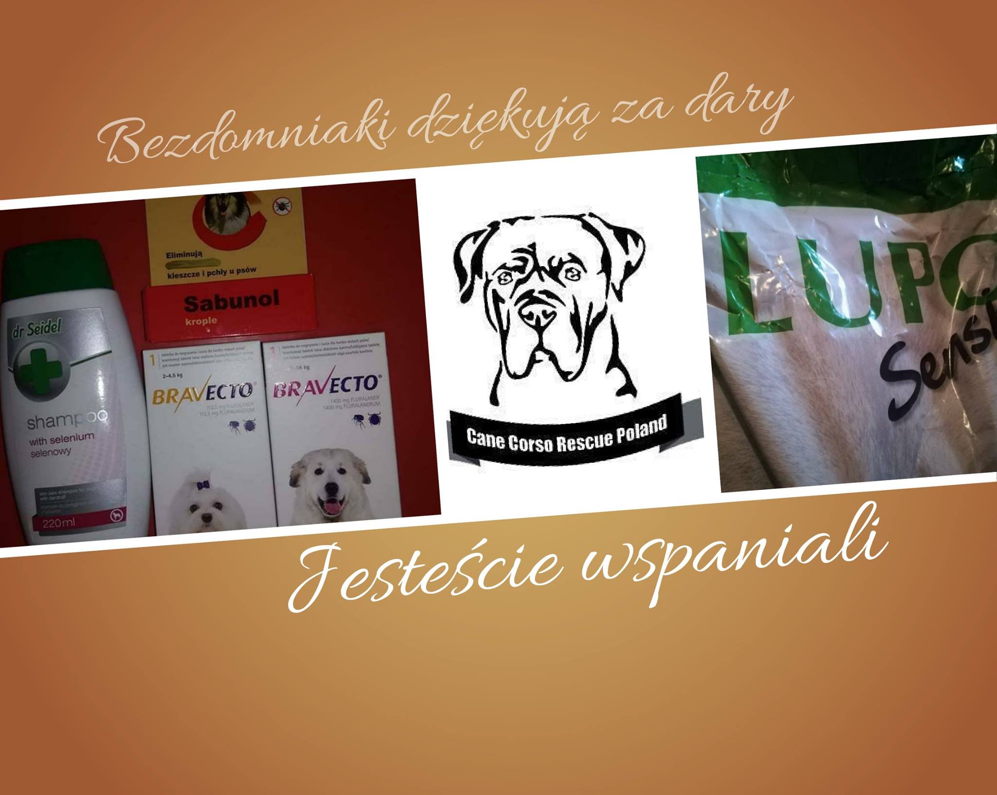 Dziękujemy Witek Gałązka i Twej Cudownej Małżonce za wspaniałe dary dla naszych bezdomniaczków